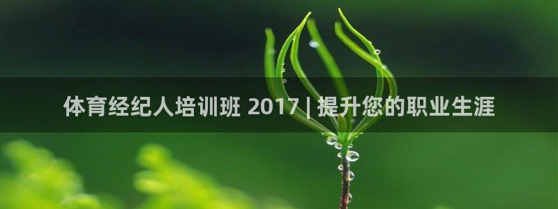 欧陆娱乐平台优势：体育经纪人培训班 2017 | 提