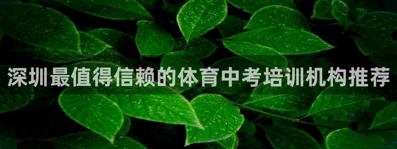 欧陆娱乐官网下载安装最新版：深圳最值得信赖的体育中考