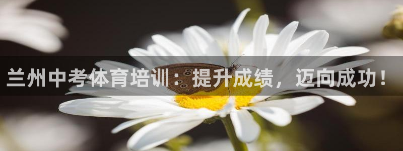 欧陆软件官网